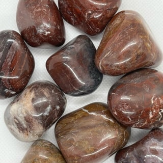 Le bois fossilisé est lié au chakra bordeaux représentant nos fondations. Il apporte notamment à faire la paix avec ses origines familliales et puiser ses forces dans ses racines.