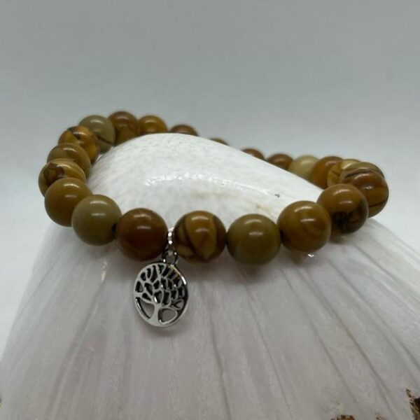 Le Bracelet en Bois fossilisé est lié au chakra bordeaux. Il représente nos racines. Il est utile pour ceux qui ont manqués de soutien intérieur.